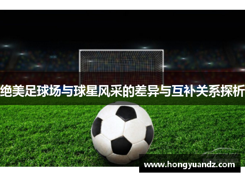 绝美足球场与球星风采的差异与互补关系探析