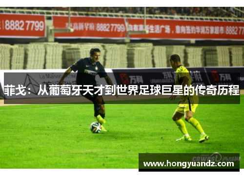 菲戈：从葡萄牙天才到世界足球巨星的传奇历程